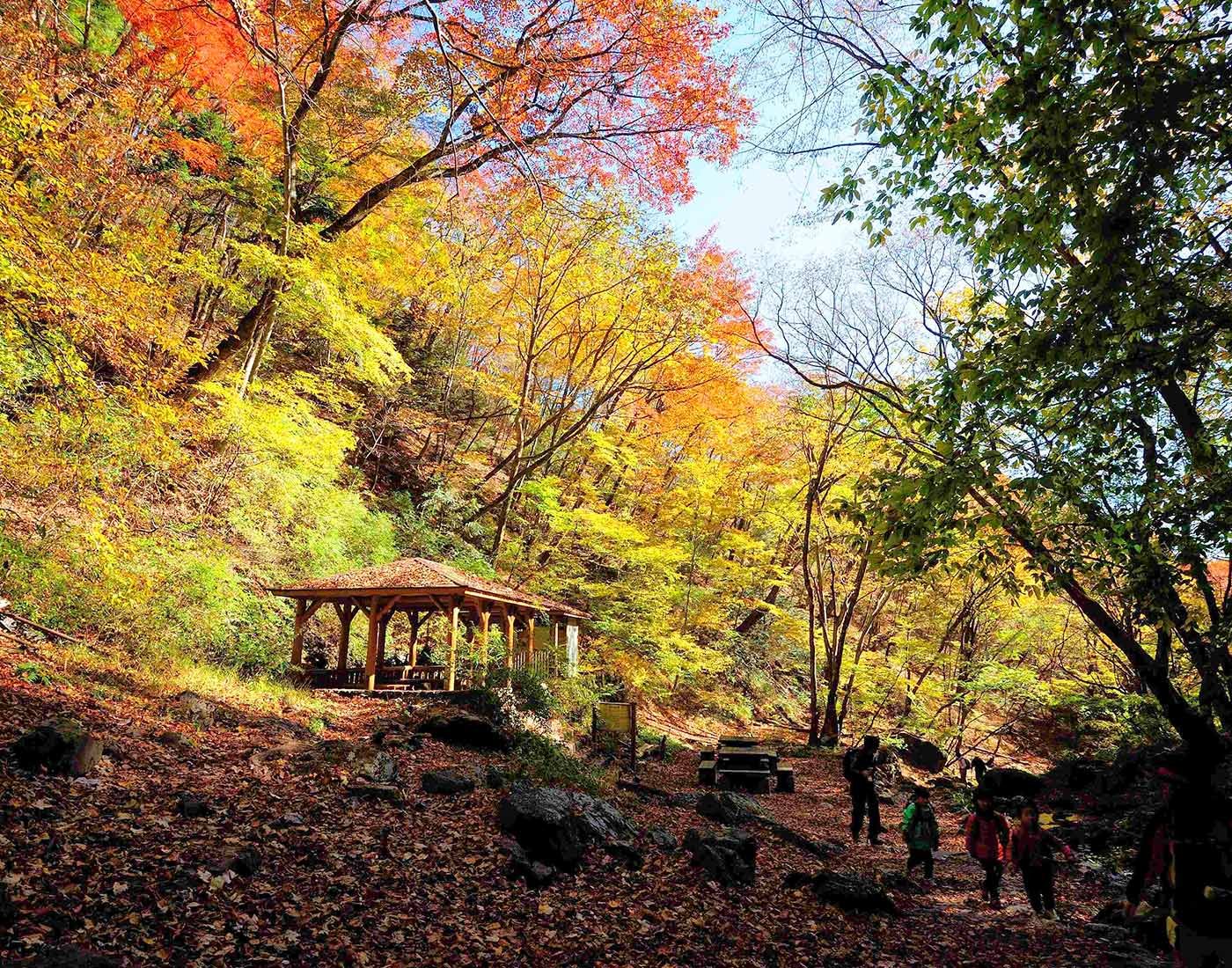 🏞️ 미타케 계곡(御岳渓谷) 이미지 9